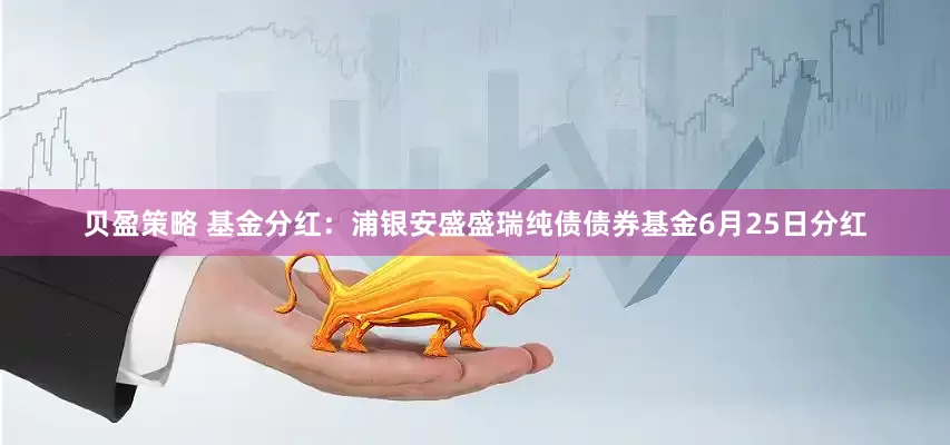 贝盈策略 基金分红：浦银安盛盛瑞纯债债券基金6月25日分红