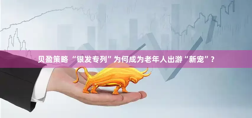 贝盈策略 “银发专列”为何成为老年人出游“新宠”？