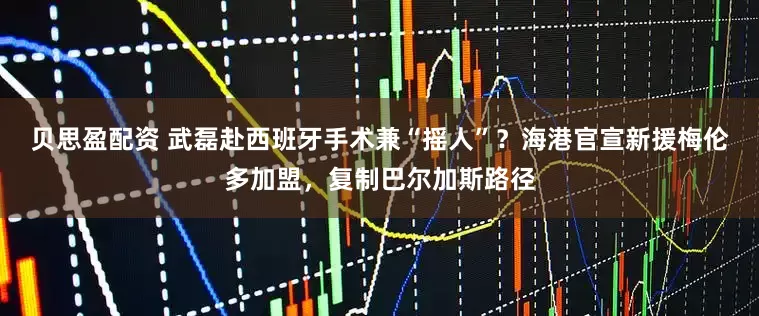 贝思盈配资 武磊赴西班牙手术兼“摇人”？海港官宣新援梅伦多加盟，复制巴尔加斯路径